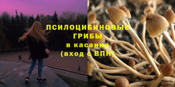 синтетический гашиш Бородино